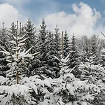 Hotell Starchlhof Schladming