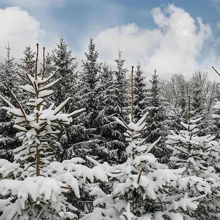 Ξενοδοχείο Starchlhof Schladming