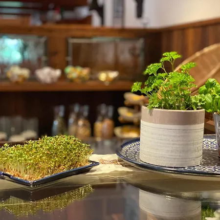 Starchlhof Szálloda Schladming