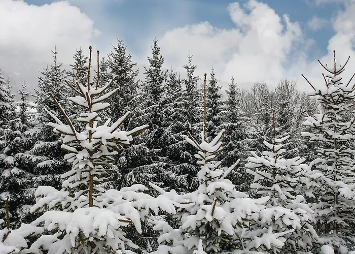 Hotel Starchlhof Schladming