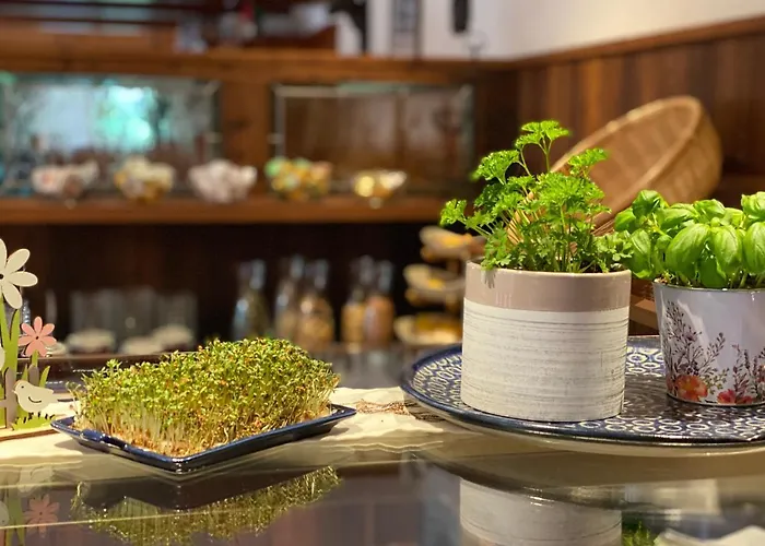 Starchlhof Hotel Schladming