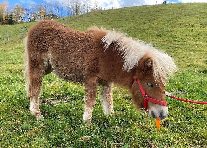 Starchlhof Hotel Schladming