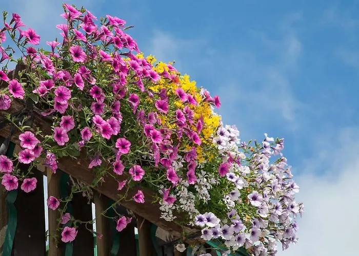 Starchlhof 3* Schladming